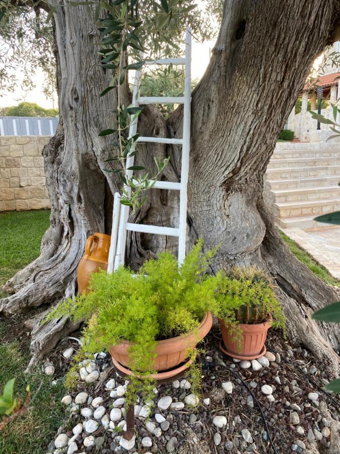 Trulli Del Relax Βίλα Castellana Grotte Εξωτερικό φωτογραφία